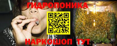 jwh Кандалакша