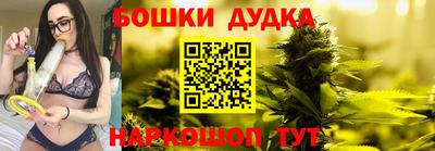 шишки Изобильный